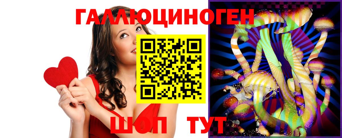 Галлюциногенные грибы Psilocybine cubensis Можайск